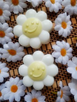 Have a Nice Daisy Flower Soaps