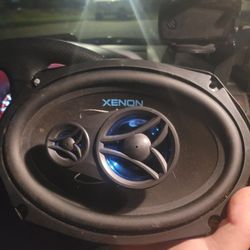 XENON 2/6.5" And 2 6x9" Coaxial Speakers (XS65)

 