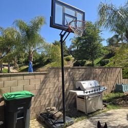 Free Lifetime Basketball Hoop