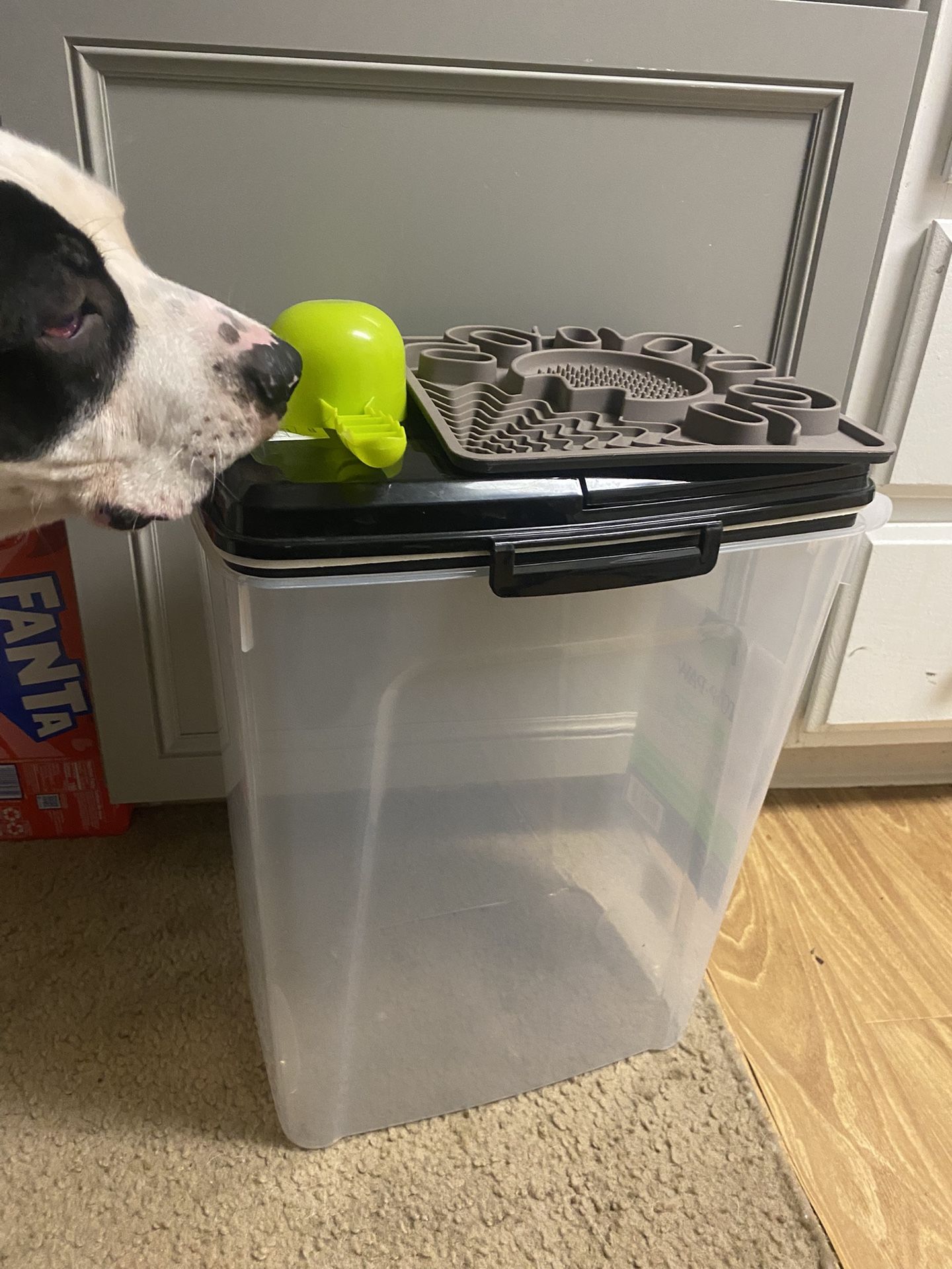 Dog Food Container, Slow Feeding Tray
