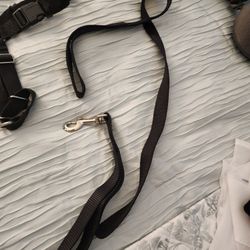 Leash And Harness For Large Dog