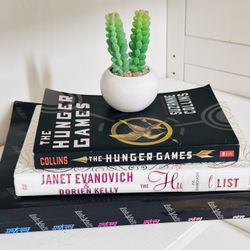3 Books And Mini Ceramic Pot Fake Succulents