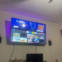 55’in Insignia Fire Tv