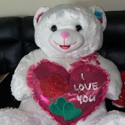 Brand New Big Bear