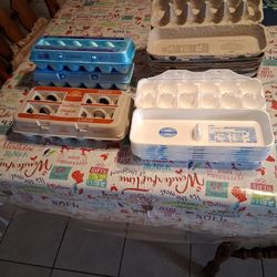 Egg Cartons