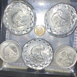 1/2 g gold prospector round three individual 1/4 ounce silver prospector and two