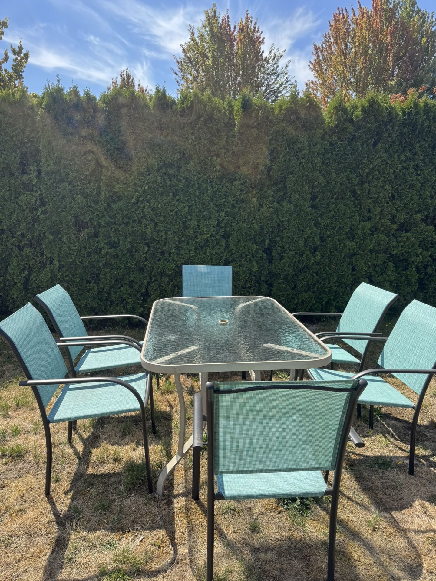 Patio Set-6 Chairs/1 Table
