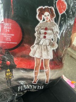 Adult costume
