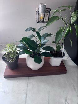Brand New floating shelves set of 2 in each box
