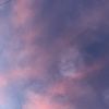 Natasha T.