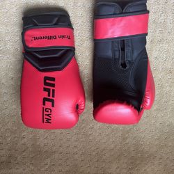 UFC Gloves 