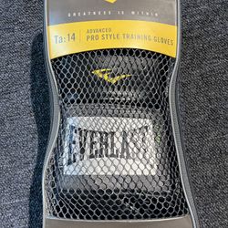 Everlast Boxing Gloves