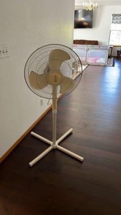 Pedestal Stand Fan