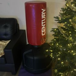 Century Boxing Punching Bag