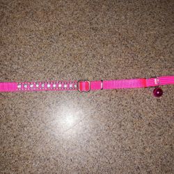 *Pink Collar*