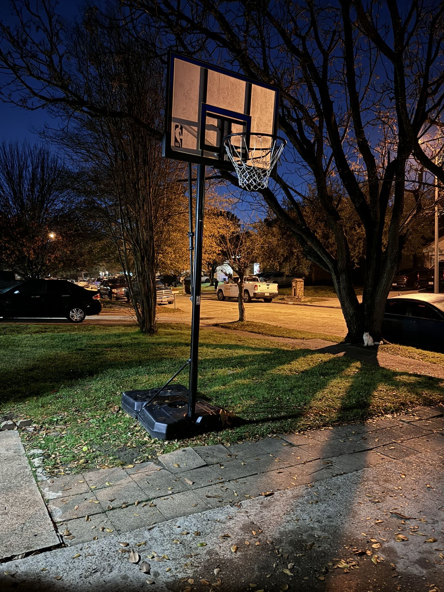 Basketball Hoop (great Condition)