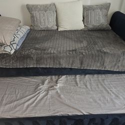 Daybed - Pullout Twin