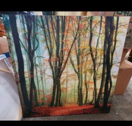 35×35 Beautiful Fall Woods Picture