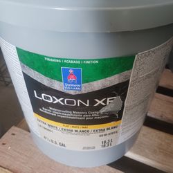 5 Gallon BUCKET  LOXON XP 