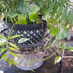 EVERYTHING FOR $15 PICK UP IN SUN VALLEY 