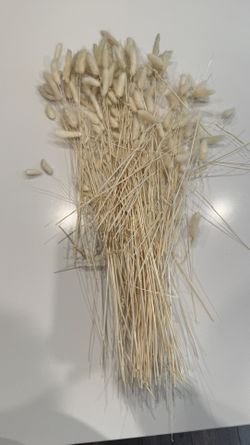 Decorative Vase Filler