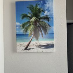 Ocean Poster Photo 