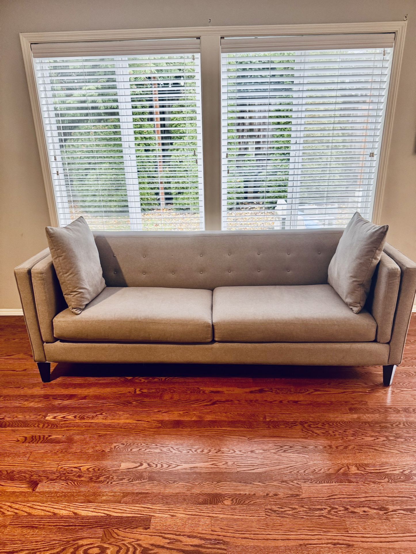 Couch and Chaise Lounge 