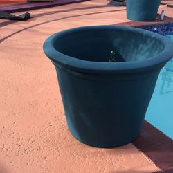 Planters