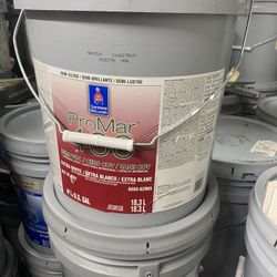 Pintura Nueva Paint Sale 