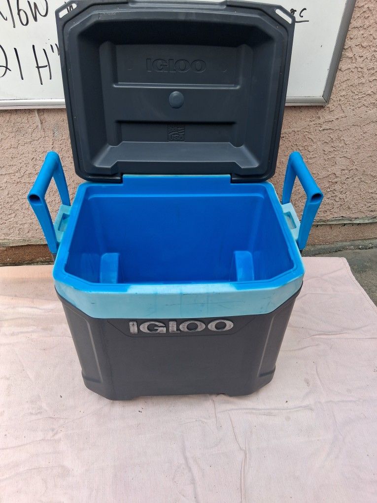 Cooler  Igloo 