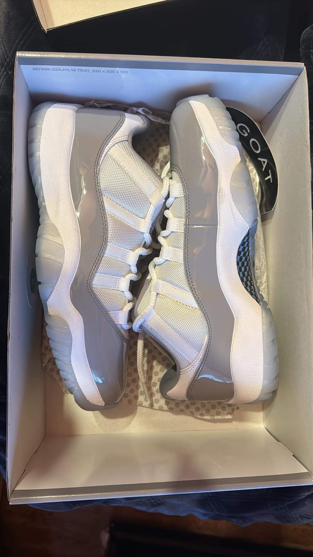 Jordan 11 gray