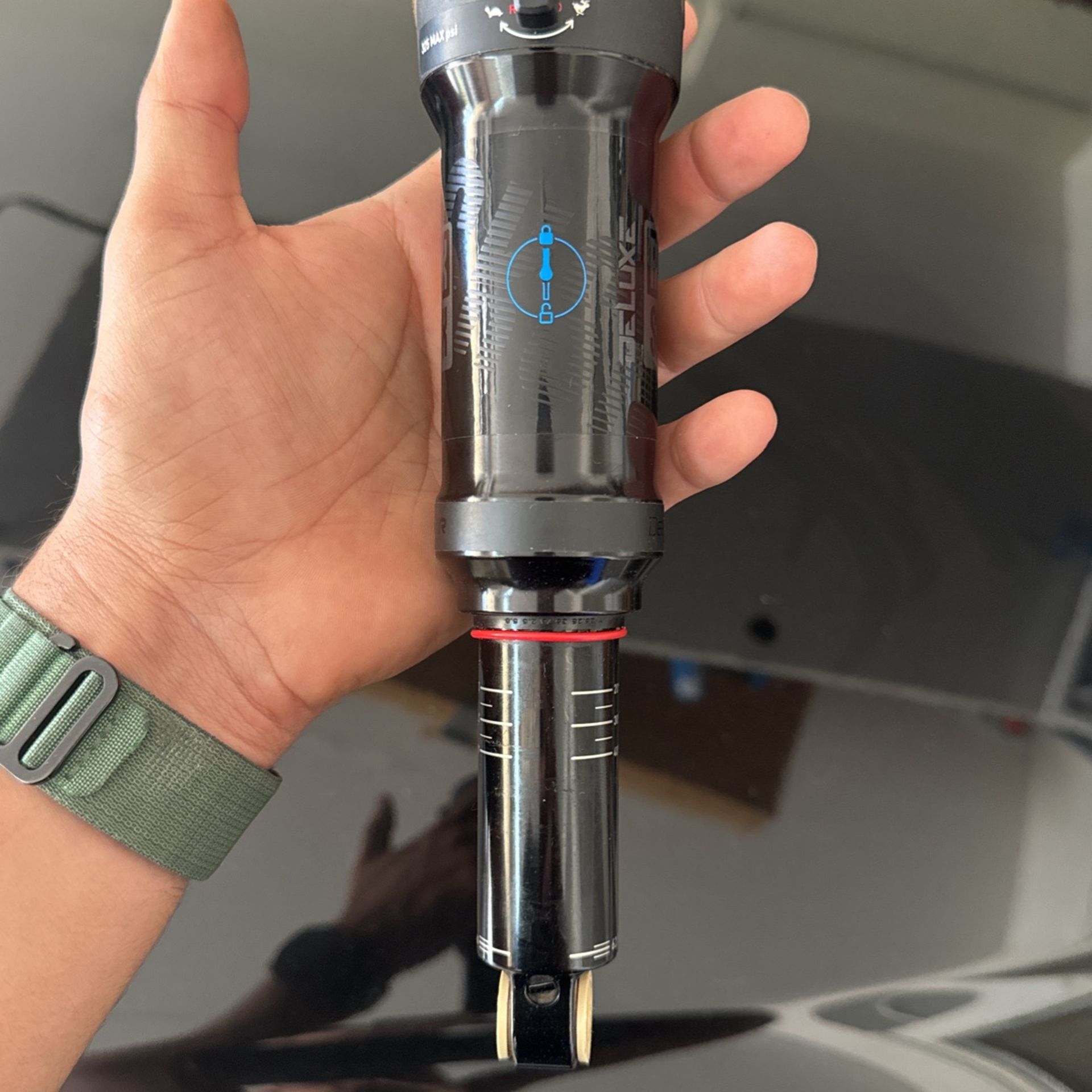 RockShox Deluxe RT, trunnion mount