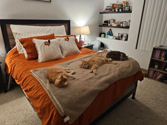 Queen Bed Frame