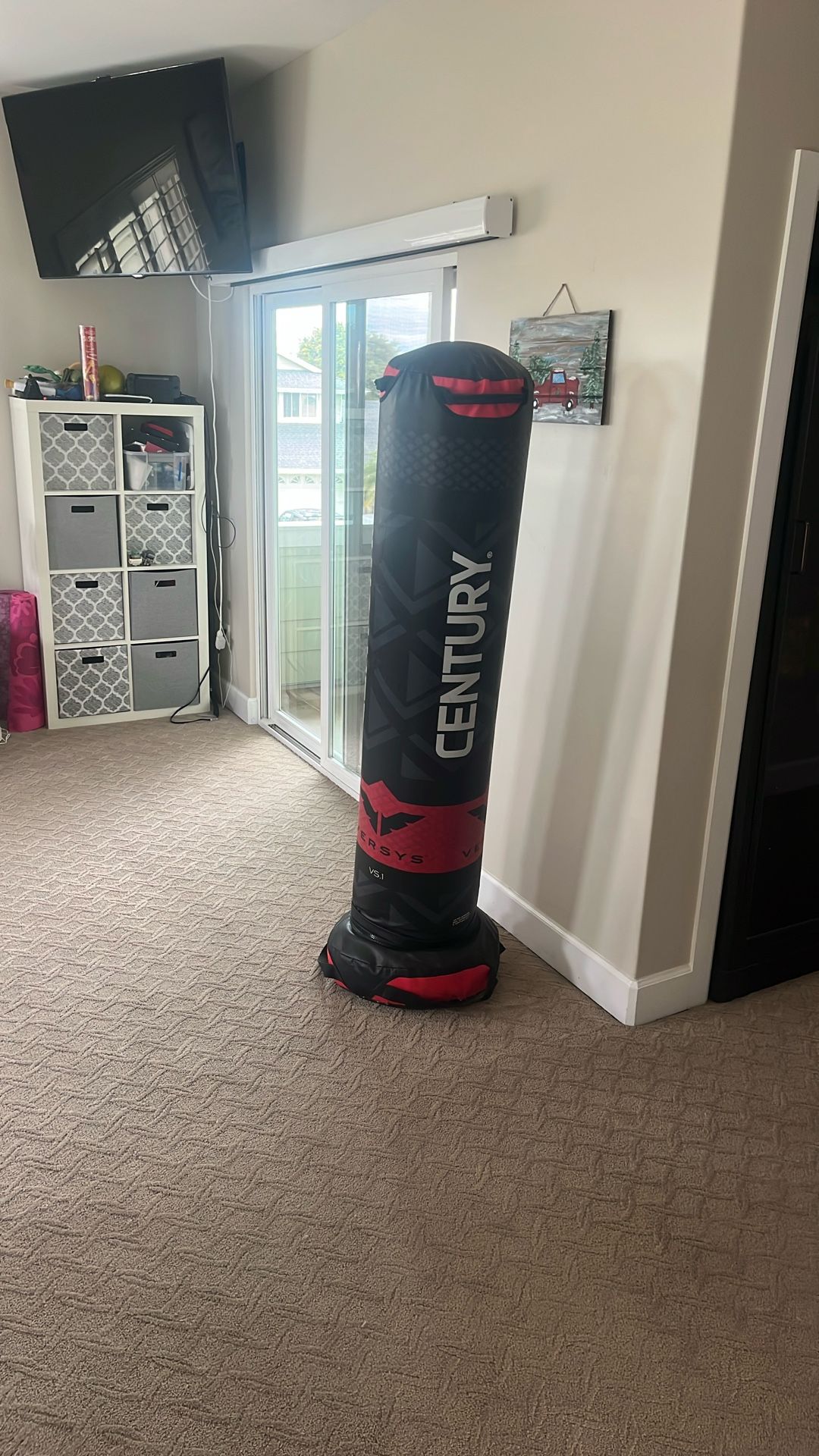 Century Punching Bag