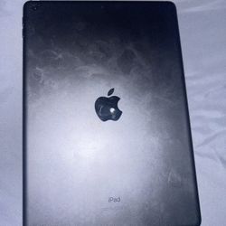 Apple iPad 