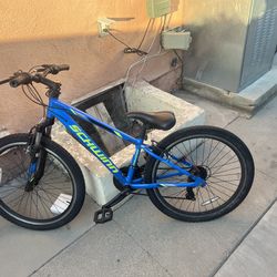 Schwinn Koen Twins Bike