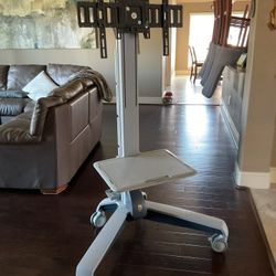 Ergotron TV Media Cart