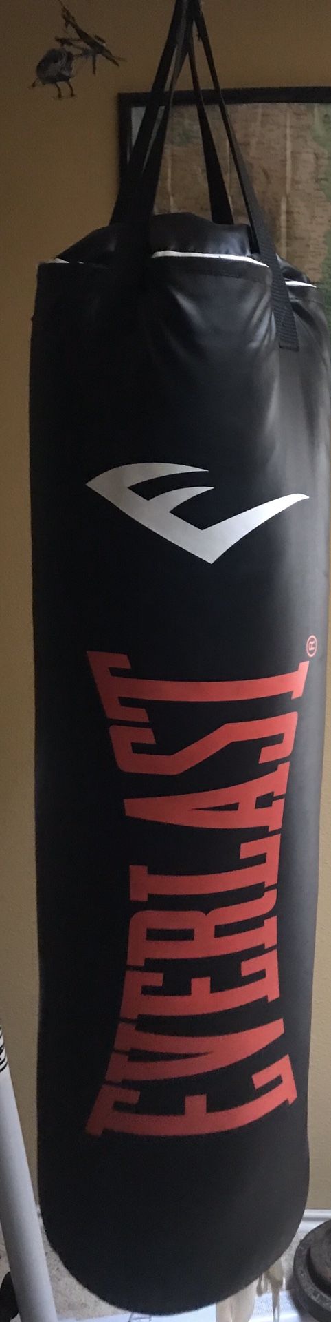 New in box Everlast Heavy duty Punching bag 100 lb (only bag)