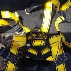 Safety Harness 