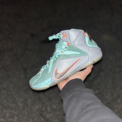 Nike LeBron 12 NSRL Sz 10.5 