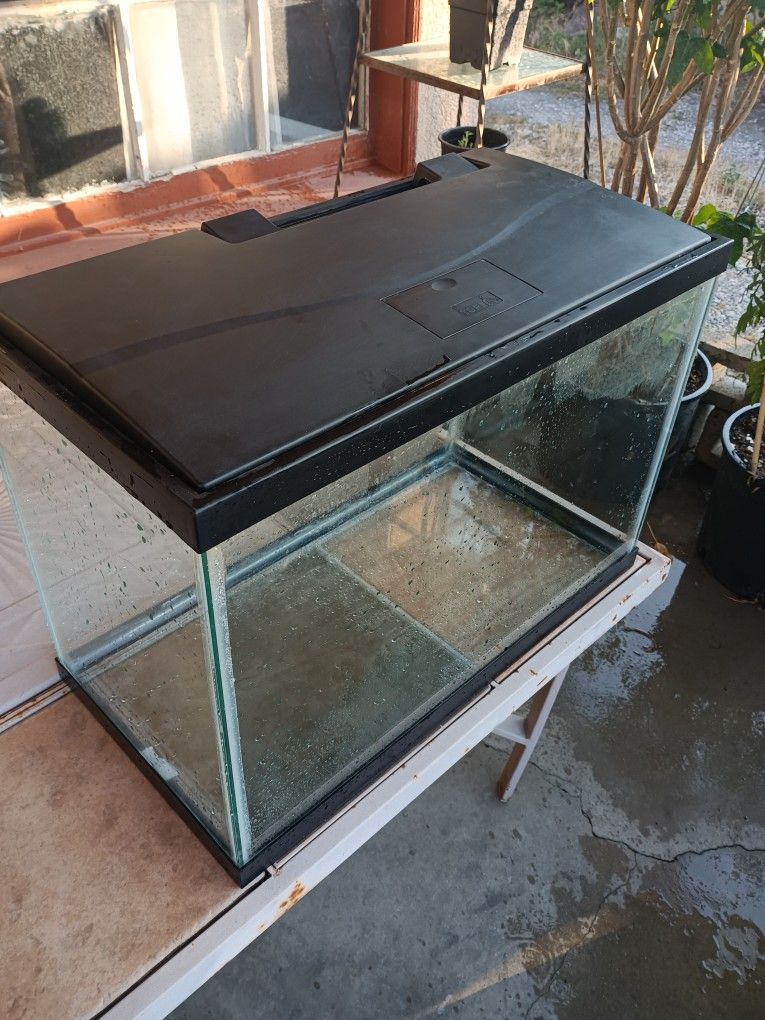 20 Gallon Tall