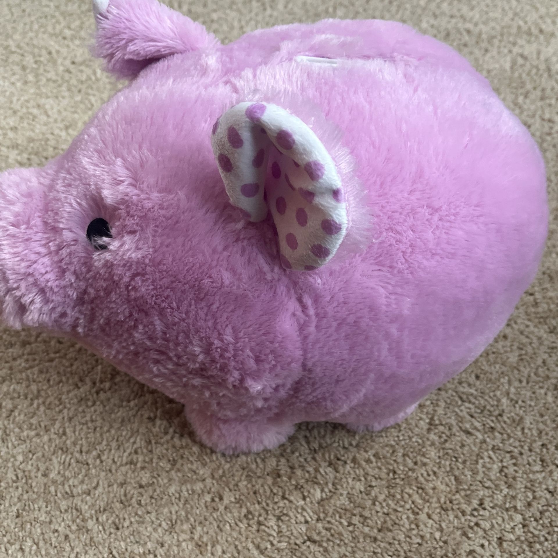 Pink Piggy Bank