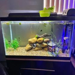 hundred full Complete Aquarium Kit – Explore an Underwater Wonderland