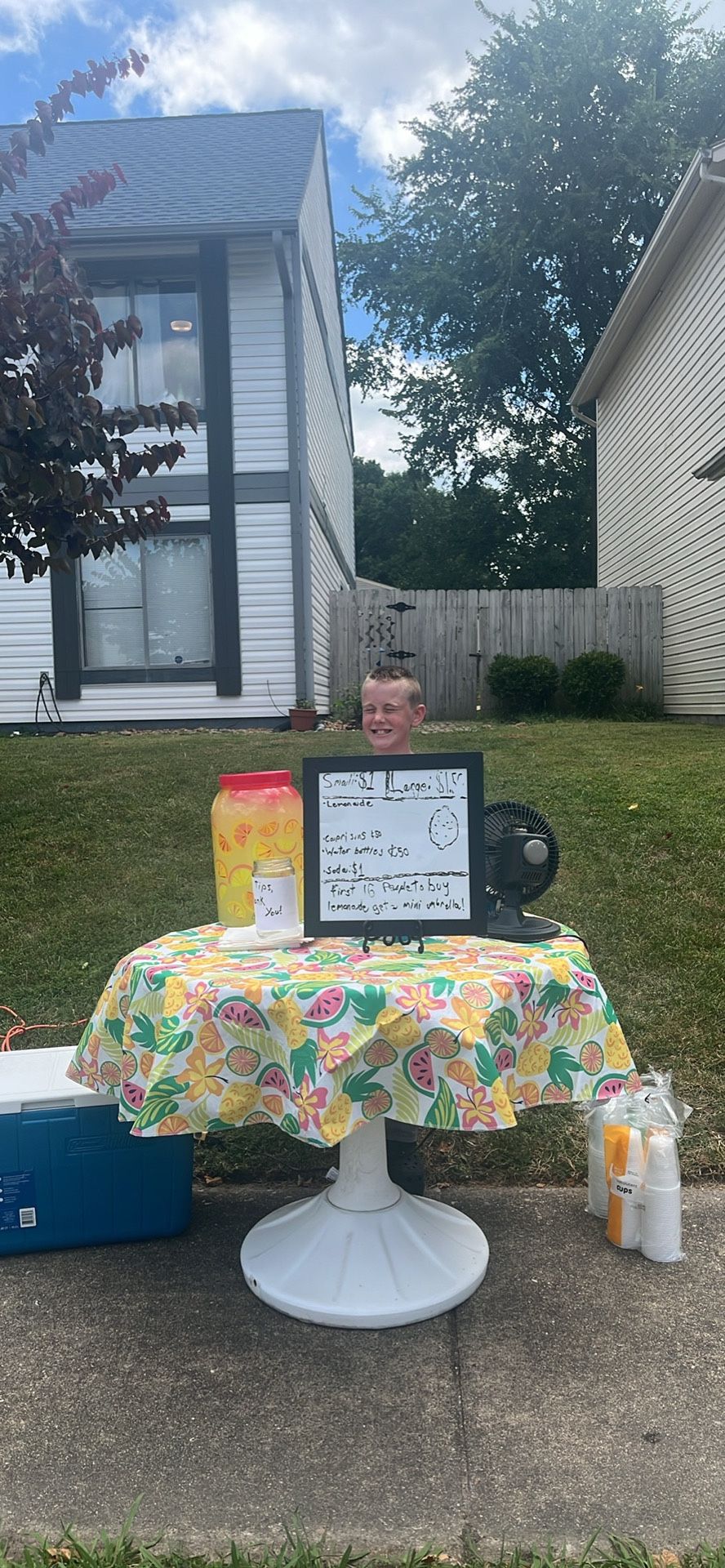 Lemonade stand