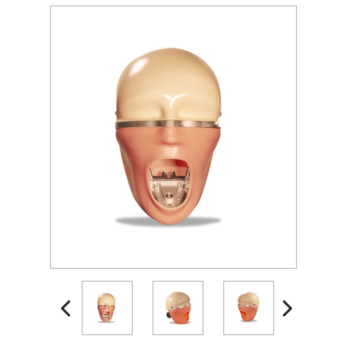 Dental Manikin Head