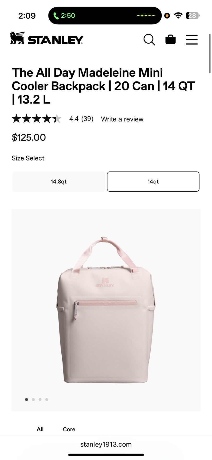 Stanley Cooler Backpack