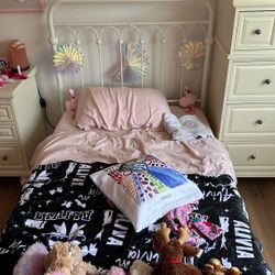 Twin Metal bed frame with Foam Mattress 