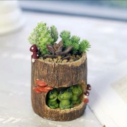 Flower pot, Resin Succulent Pot