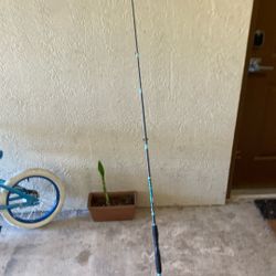 Fishing Pole