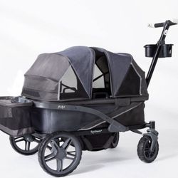 Wagon Stroller 